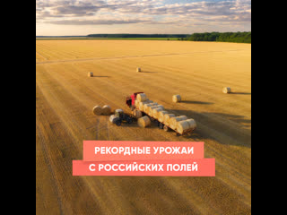 record harvests from russian fields